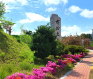 韩国世翰大学4.jpg
